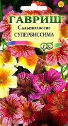 Сальпиглоссис Супербиссима - Сезон у Дачи