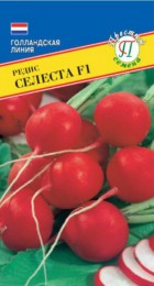 Редис Селеста F1 1гр (Престиж) - Сезон у Дачи