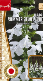 Шалфей Summer Jewel White (Григорьев) - Сезон у Дачи