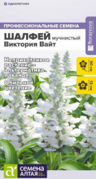Шалфей Виктория Вайт мучнистый (Сем Алт) - Сезон у Дачи