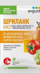 Шриланк амп.5мл АВГУСТ - Сезон у Дачи