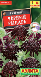 Скабиоза Черный рыцарь 0,1г (Аэлита) - Сезон у Дачи