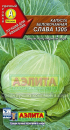 Капуста б/к Слава 1305 (Аэлита) - Сезон у Дачи