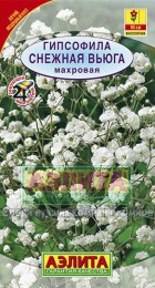 Гипсофила Снежная вьюга - Сезон у Дачи