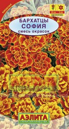 Бархатцы София, смесь отклоненные - Сезон у Дачи