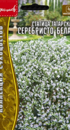 Статица Серебристо-Белая татарская (Григорьев) - Сезон у Дачи