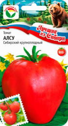 Томат Алсу (СибСад) - Сезон у Дачи