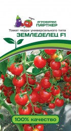 Томат Черри Земледелец F1 - Сезон у Дачи