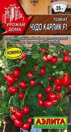 Томат Чудо карлик - Сезон у Дачи
