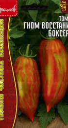 Томат Гном Восстание Боксёра (Dwarf Boxer Rebellion) (Григорьев) - Сезон у Дачи