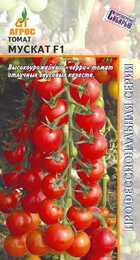Томат Мускат F1 (Агрос) - Сезон у Дачи