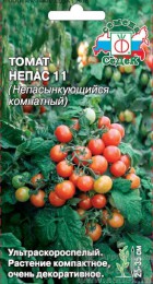 Томат Непас 11 / Непасынкующийся Комнатный - Сезон у Дачи