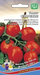 Томат Озарение (УД) - Сезон у Дачи