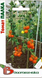Томат Палка (Биотехника) - Сезон у Дачи