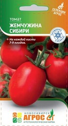 Томат Жемчужина Сибири (Aгрос) - Сезон у Дачи