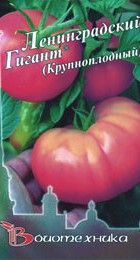 Томат Ленинградский крупноплодный Гигант - Сезон у Дачи