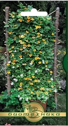 Тунбергия Сюзи смесь расцветок (БиоТехника) - Сезон у Дачи