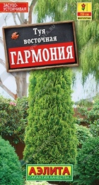 Туя восточная Гармония (Аэлита) - Сезон у Дачи