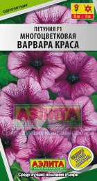 Петуния Варвара Краса F1 - Сезон у Дачи