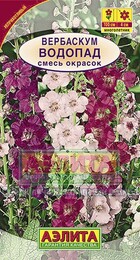 %2026 Вербаскум Водопад смесь (Аэлита) - Сезон у Дачи