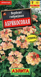 Вербена Абрикосовая 10шт (Аэлита) - Сезон у Дачи