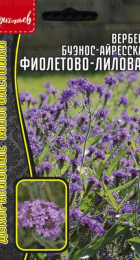 Вербена Фиолетово-Лиловая буэнос-айресская (Григорьев) - Сезон у Дачи