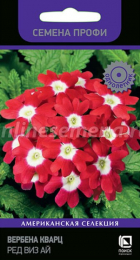 Вербена Кварц Ред виз Ай /Семена Профи (ПОИСК) - Сезон у Дачи