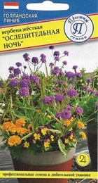 Вербена Ослепительная Ночь жесткая (Престиж) - Сезон у Дачи