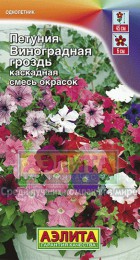 Петуния Виноградная гроздь каскадная, смесь - Сезон у Дачи