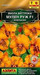 Виола Мулен Руж F1 Апельсин (Аэлита) - Сезон у Дачи