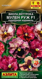 Виола Мулен Руж F1 Пурпурная карамель (Аэлита) - Сезон у Дачи