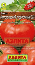 Томат Волгоградский скороспелый 323 (Лидер) - Сезон у Дачи