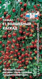 Томат Волшебный каскад F1 - Сезон у Дачи