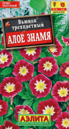 Вьюнок Алое знамя (Аэлита) - Сезон у Дачи