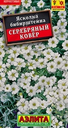Ясколка Серебряный ковер (Аэлита) - Сезон у Дачи