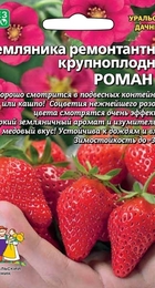 Земляника Роман F1 (УД) - Сезон у Дачи