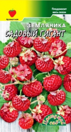 Земляника Садовый Гигант ремонтантная альпийская 0,03гр (ЦС) - Сезон у Дачи