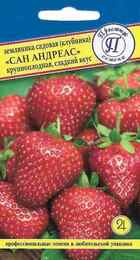 Земляника Сан Андреас (Престиж) - Сезон у Дачи