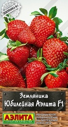 Земляника Юбилейная Аэлита F1 (Аэлита) - Сезон у Дачи