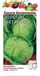 Капуста б/к Золотой Гектар 1432 (Гавриш) - Сезон у Дачи