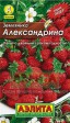 Земляника Александрина - Сезон у Дачи