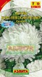 Астра Королевский размер Белая - Сезон у Дачи