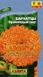 Бархатцы Оранжевый снег прямостоячие - Сезон у Дачи