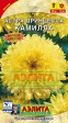 Астра Принцесса Камилла - Сезон у Дачи