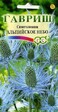 Синеголовник Альпийское небо (Гавриш) - Сезон у Дачи