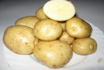 Картофель семенной Адретта (1 репр) 4 кг - Сезон у Дачи