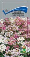 Арабис альпийский Смесь окрасок - Сезон у Дачи
