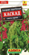 Амарант Каскад смесь (Аэлита) - Сезон у Дачи