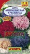 Астра Американская красавица, смесь (Аэлита) - Сезон у Дачи