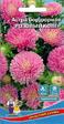 Астра бордюрная Розовый ковер (УД) - Сезон у Дачи